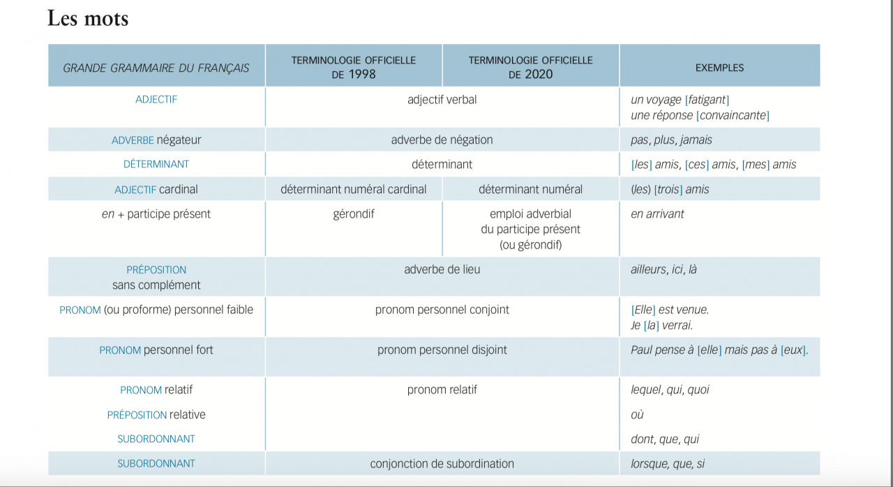 Terminologie mots